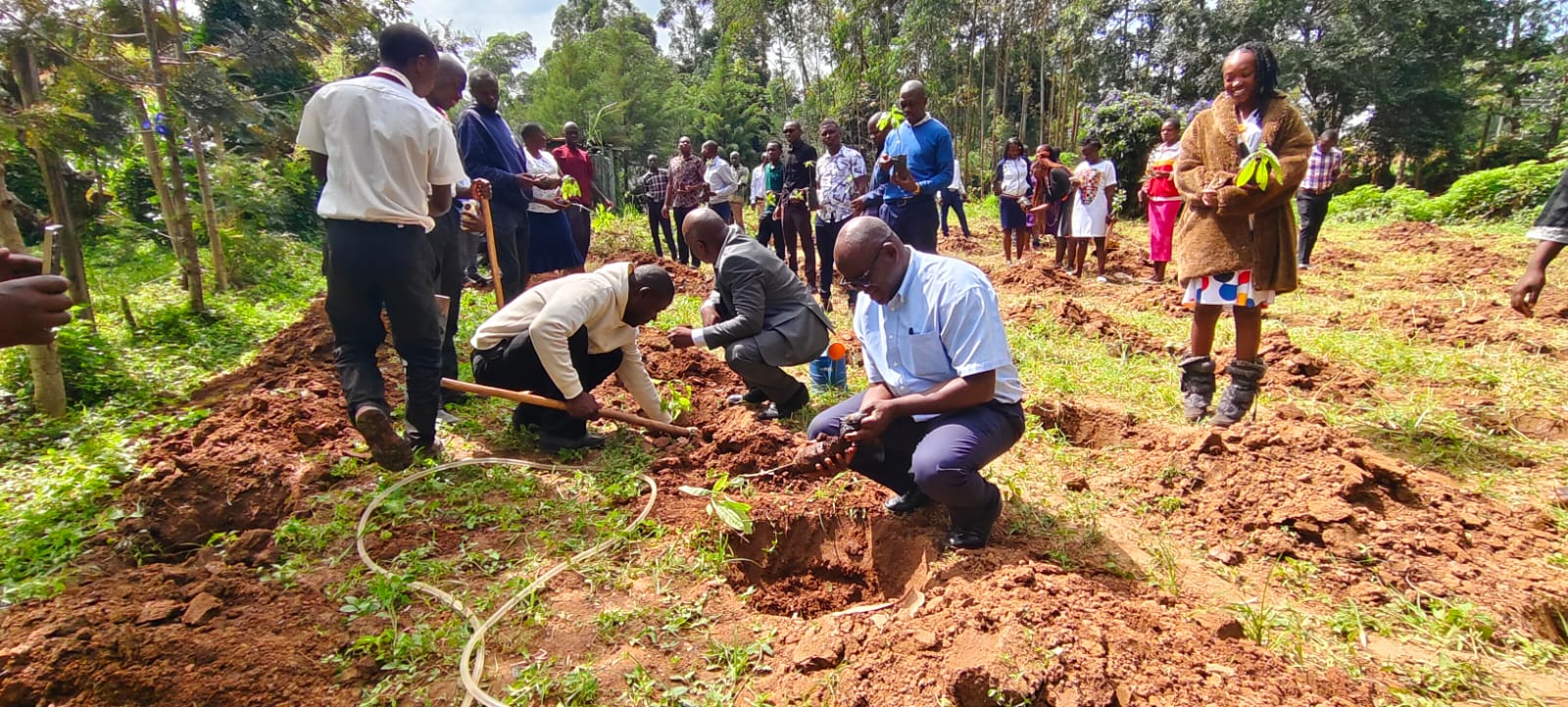 ACA’s Tree‑Planting Initiative Embraces World Environment Day’s Climate Call