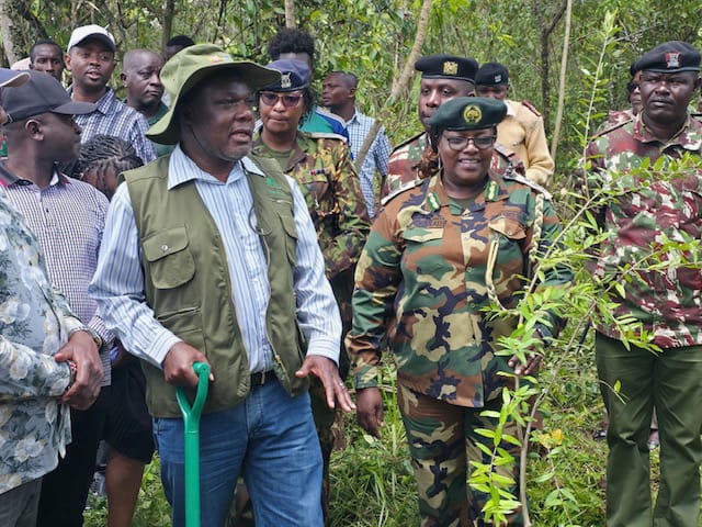 Multi-agency tree planting exercise held at Irangi Forest in Embu County