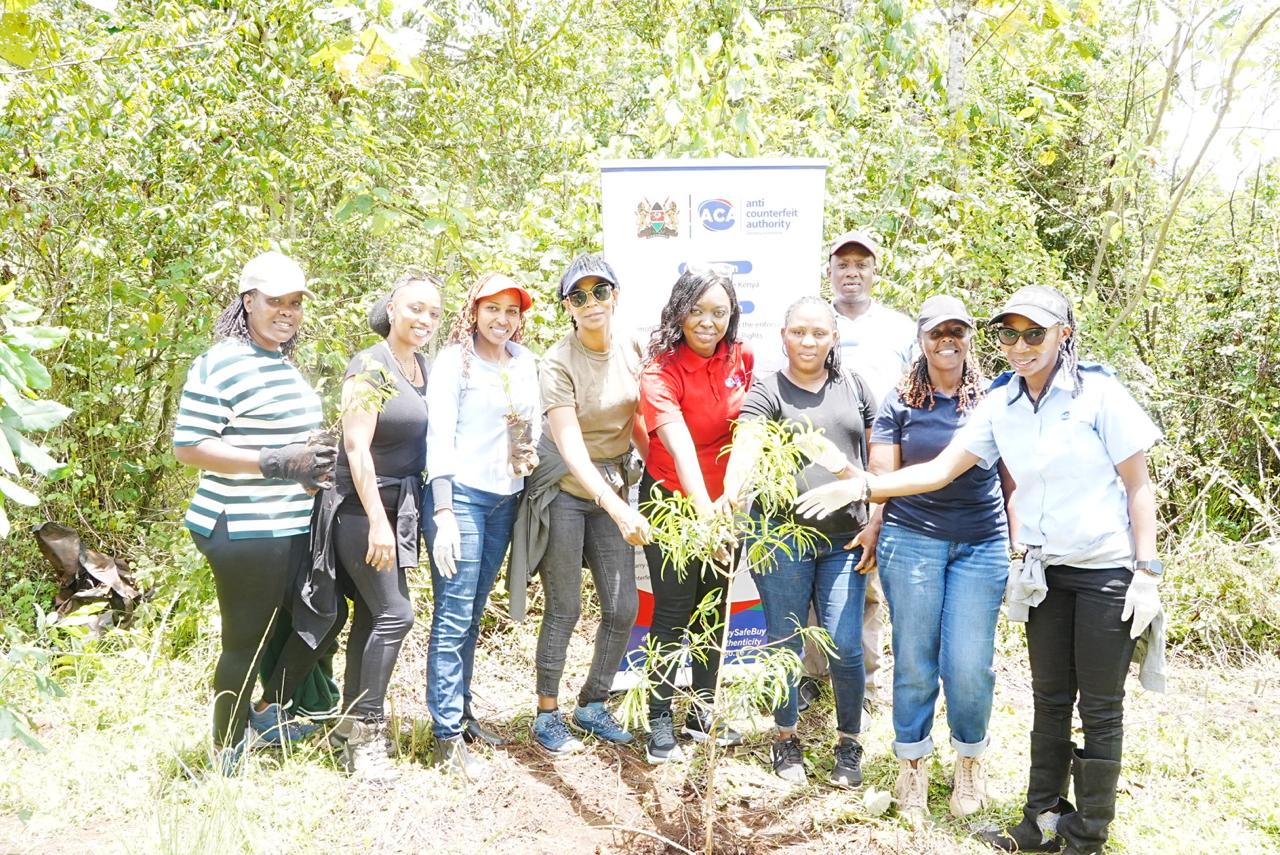 Multi-agency tree planting exercise held at Irangi Forest in Embu County